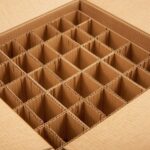 WhatsApp Image 2025-10-22 at 7.22.05 PM